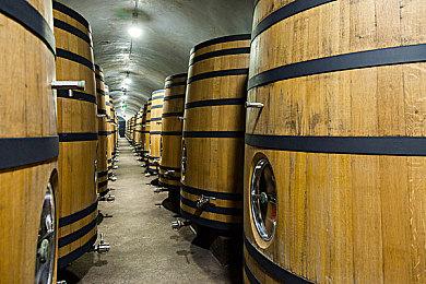 《忍者神龟：施莱德的复仇》更新修复问题提升稳定性